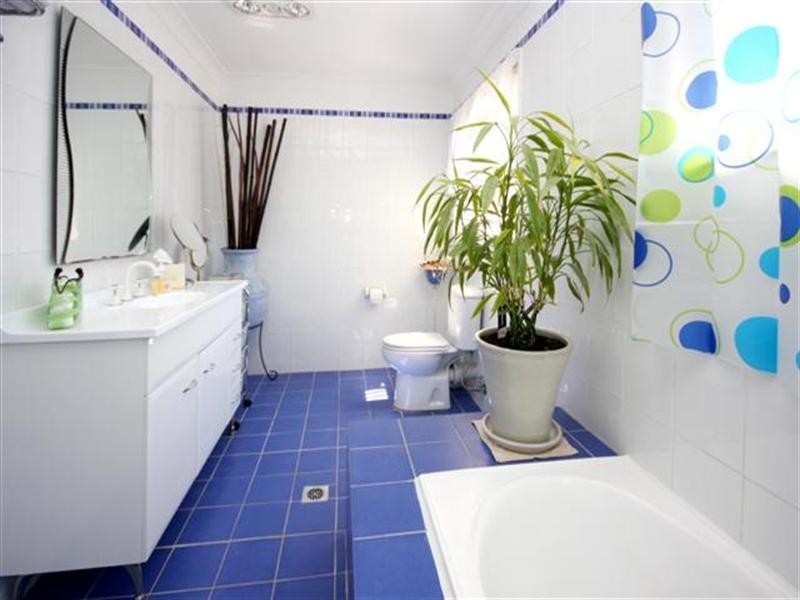 156 Bridge Street, Morisset NSW 2264