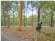 Freemans Waterhole NSW 2323