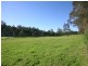 64 Tobins Road, Mandalong NSW 2264