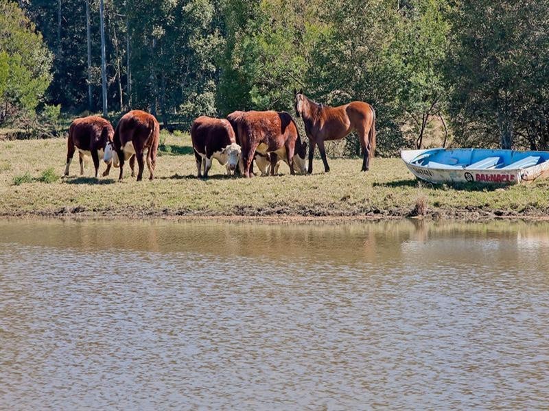 64 Tobins Road, Mandalong NSW 2264