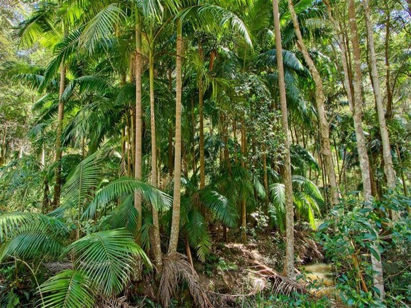 1a Taylors Road, Cooranbong NSW 2265