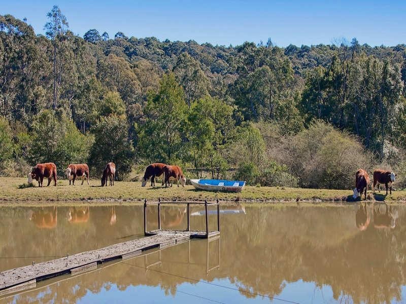 64 Tobins Road, Mandalong NSW 2264