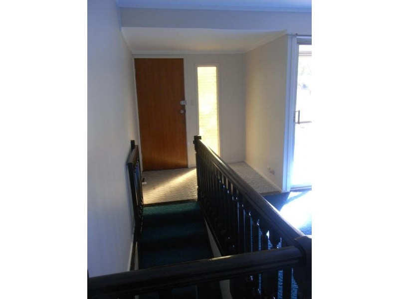 34 Struan Street, Chapel Hill QLD 4069