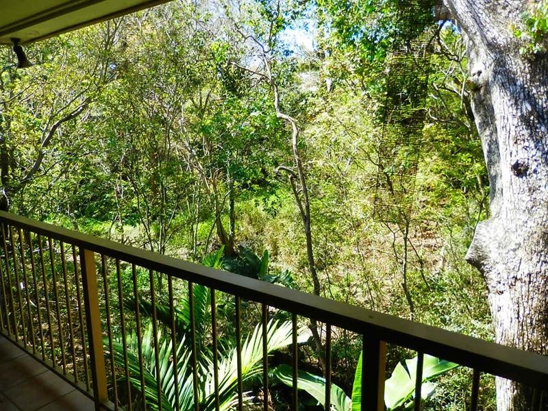 10/80 Miskin Street, Toowong QLD 4066