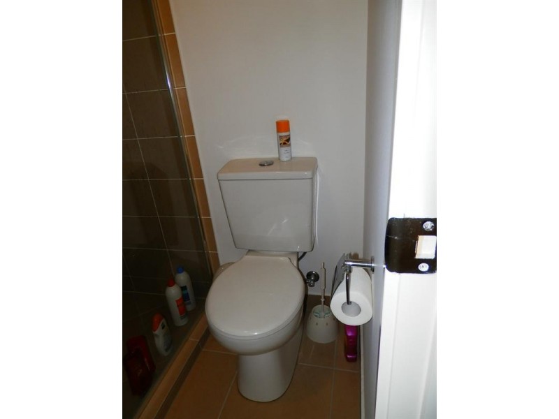 31 Caraway Street, Springfield Lakes QLD 4300