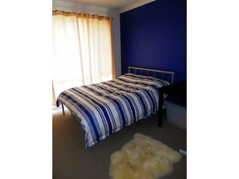 31 Caraway Street, Springfield Lakes QLD 4300