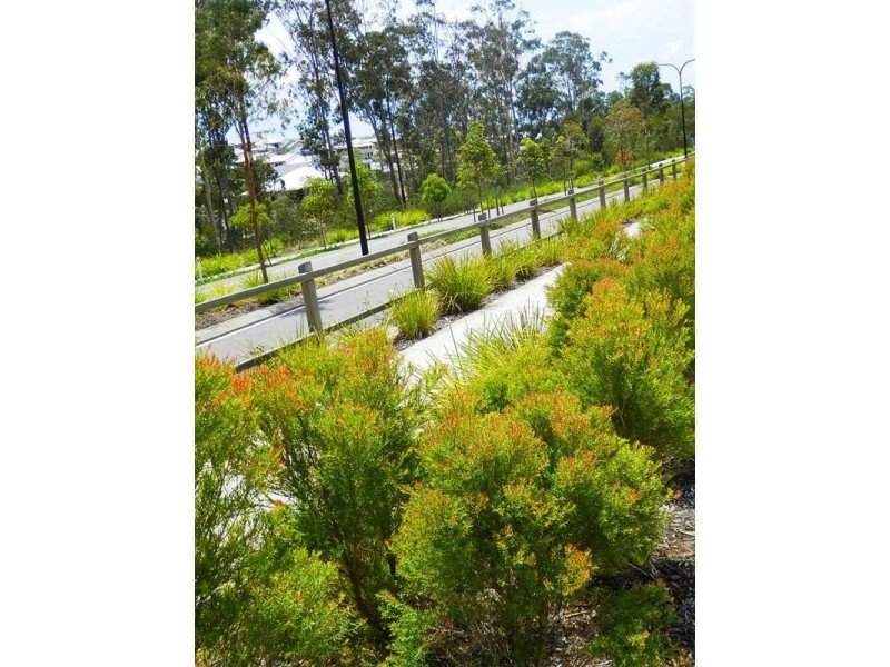 31 Caraway Street, Springfield Lakes QLD 4300