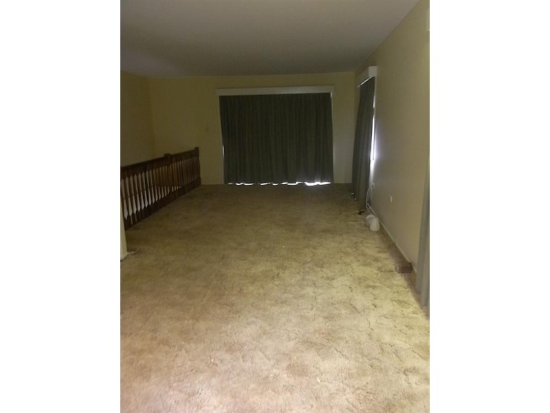 47 Brownie Street, Jamboree Heights QLD 4074