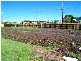 Lot 29 Peggy Crescent, Redbank Plains QLD 4301
