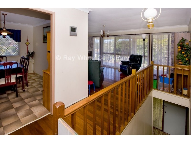 Jamboree Heights QLD 4074