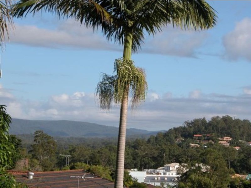 3 Ebrill Street, Jamboree Heights QLD 4074