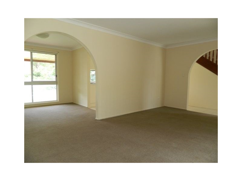 55 Patrol Street, Jamboree Heights QLD 4074