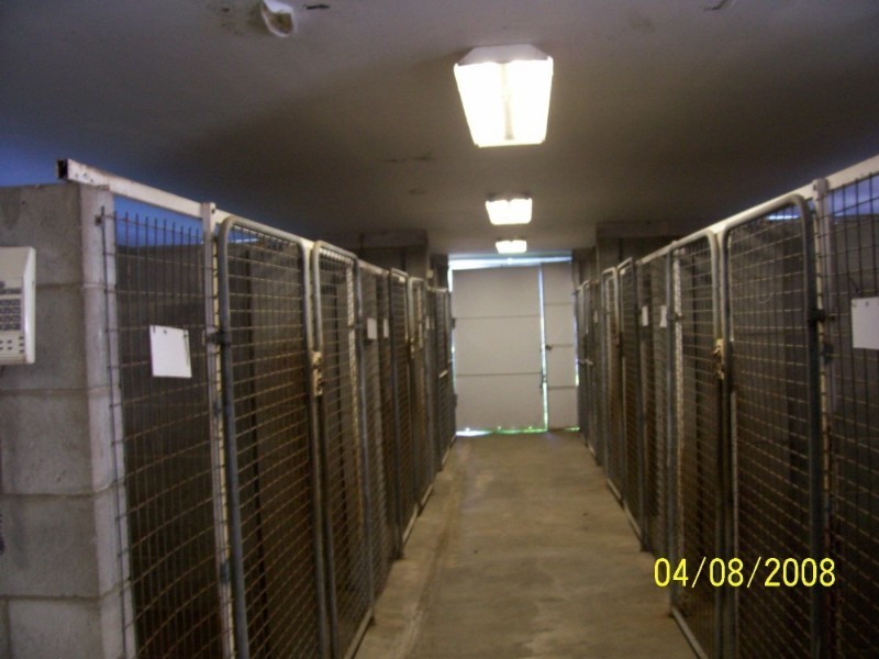 145 Sweets Road, Pallara QLD 4110