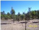 Pallara QLD 4110