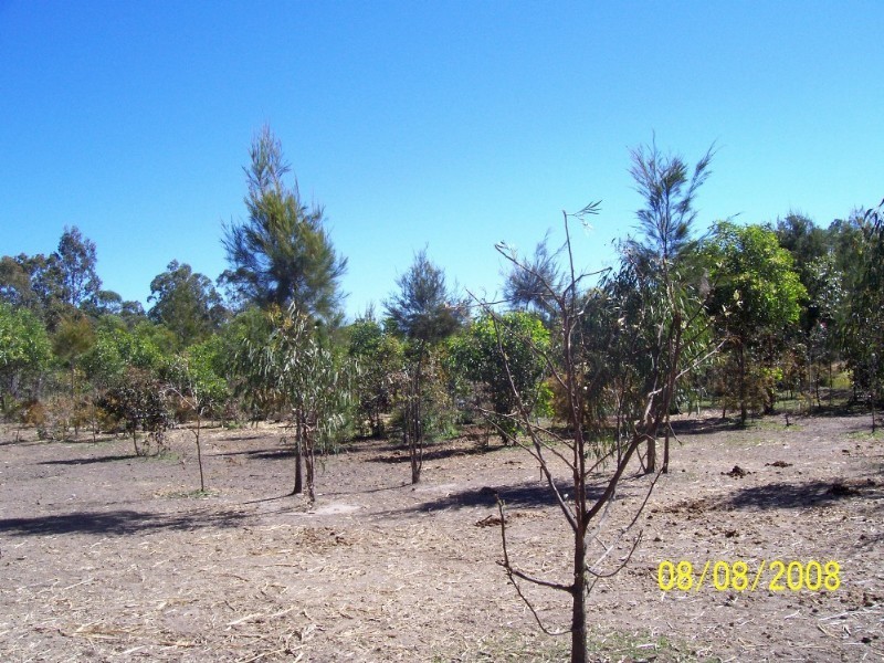 Pallara QLD 4110