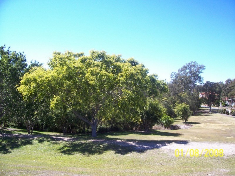 42 Settlers Circuit, Forest Lake QLD 4078