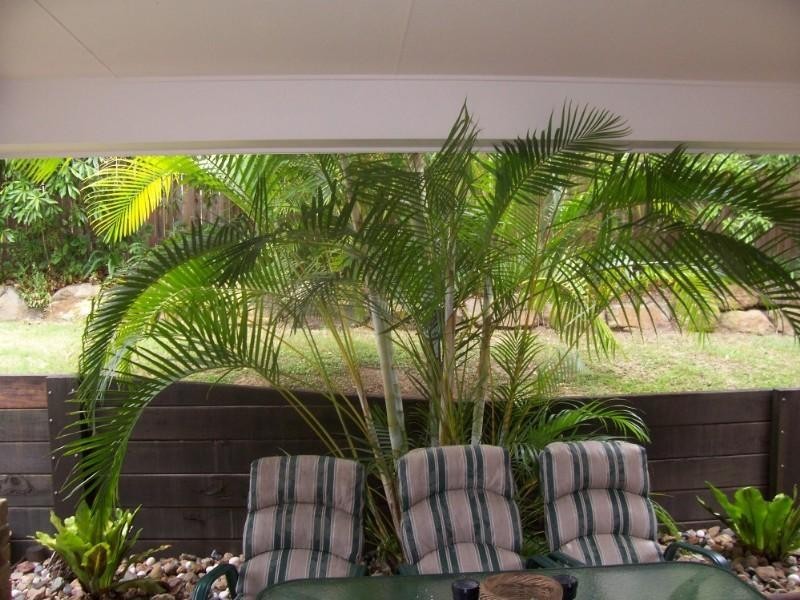 32 Loffs Road, Jamboree Heights QLD 4074