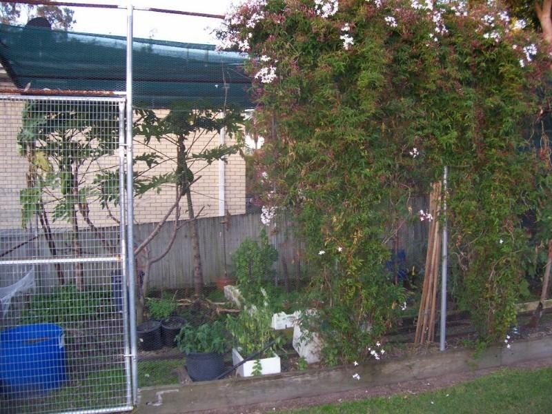 51 Renoir Crescent, Forest Lake QLD 4078