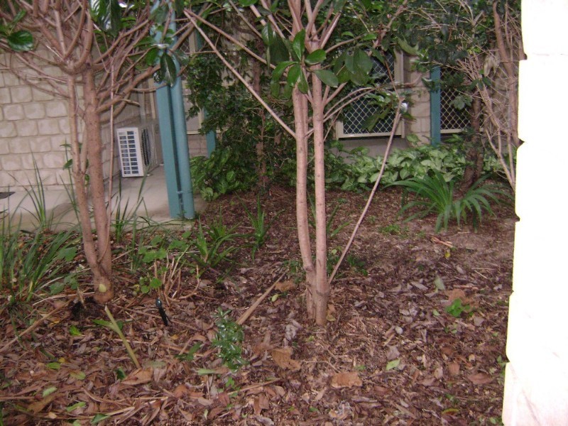 Inala QLD 4077
