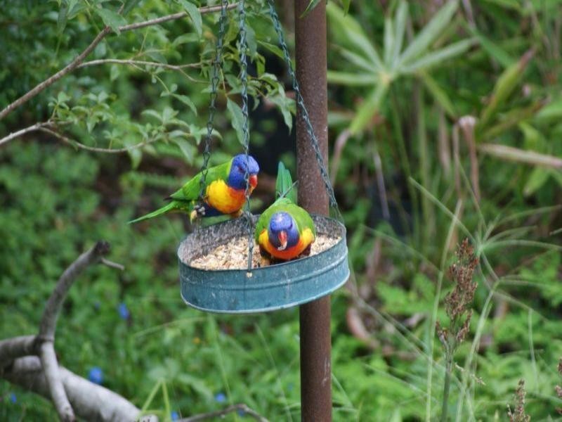 Bellbird Park QLD 4300