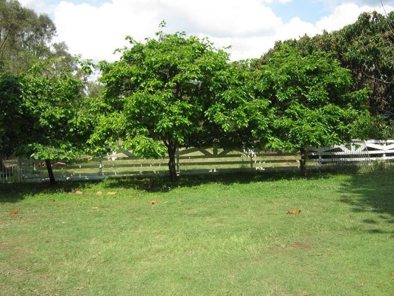 139 Woogaroo Street, Ellen Grove QLD 4078