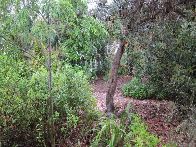 29 Narona Street, Middle Park QLD 4074