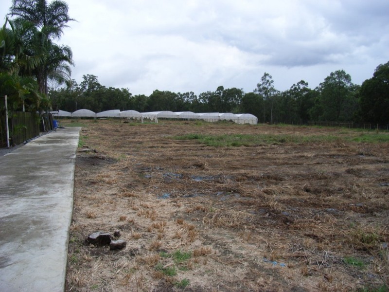 74 Van Dieren Road, Pallara QLD 4110