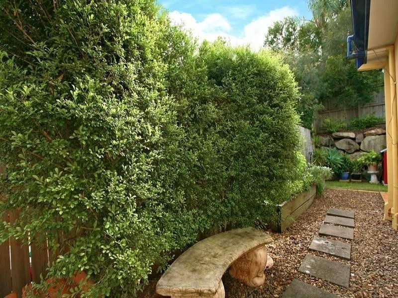 9 Seabrook Circuit, Westlake QLD 4074