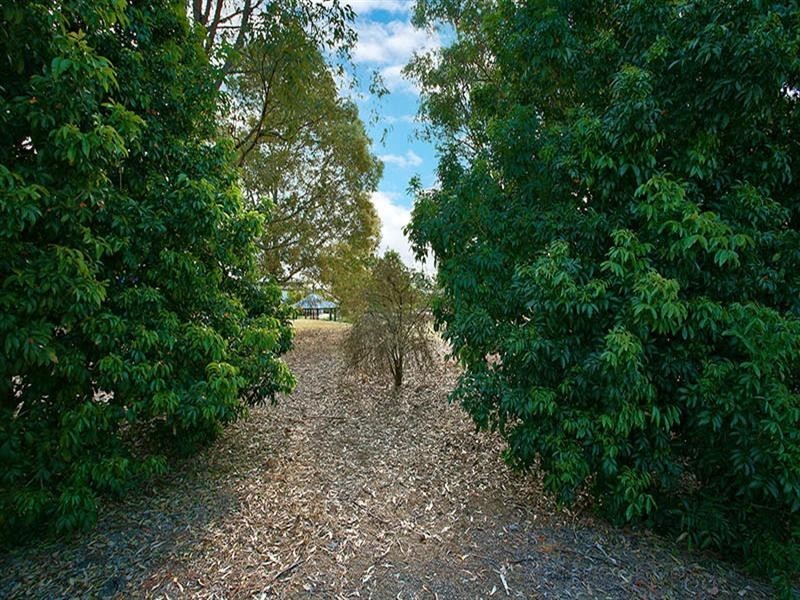 56 Seabrook Circuit, Westlake QLD 4074