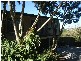 Nambour QLD 4560