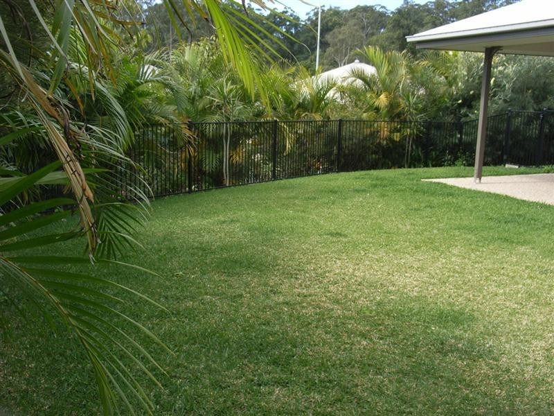 Palmwoods QLD 4555