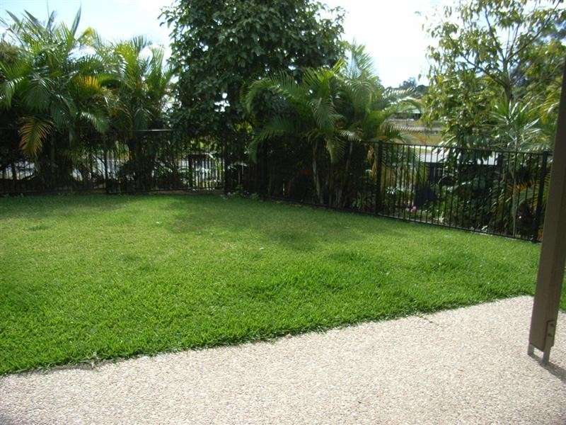 Palmwoods QLD 4555