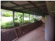 Nambour QLD 4560