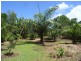 Nambour QLD 4560