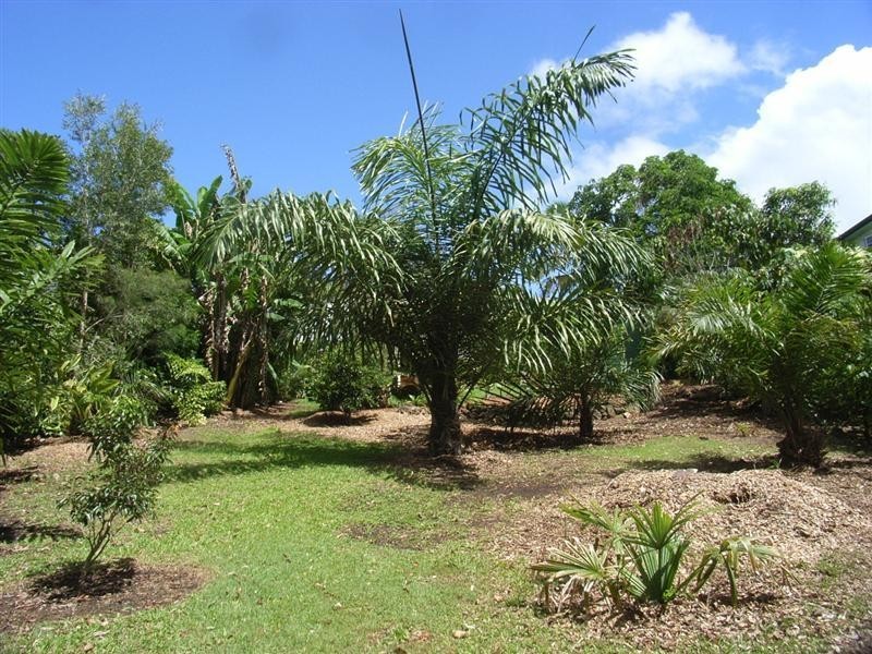 Nambour QLD 4560