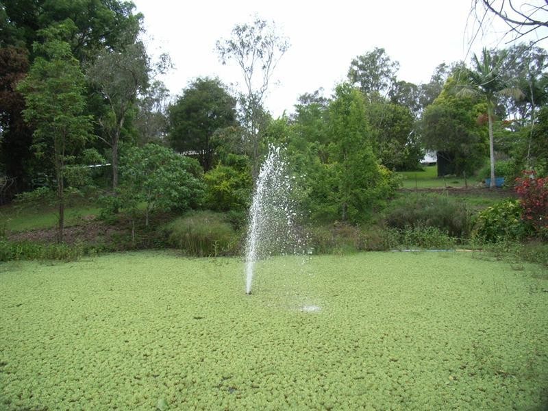 Nambour QLD 4560