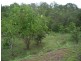 Nambour QLD 4560