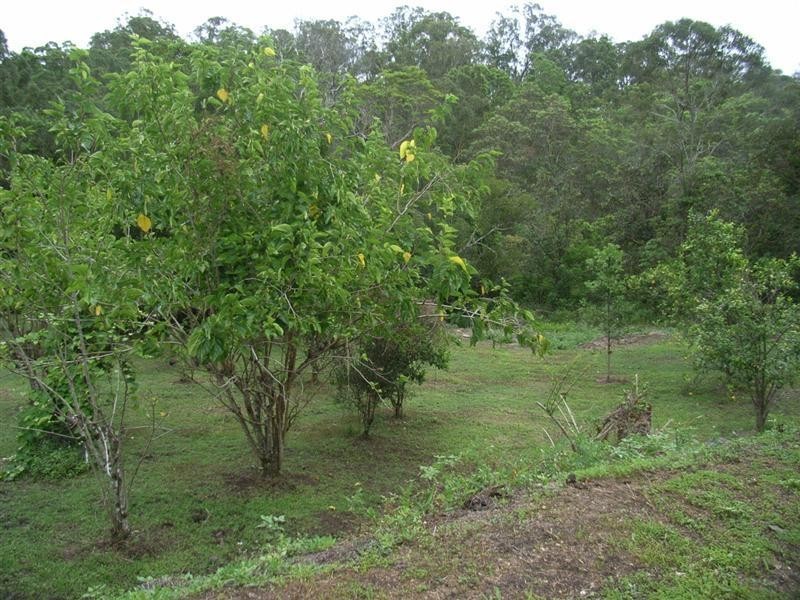 Nambour QLD 4560
