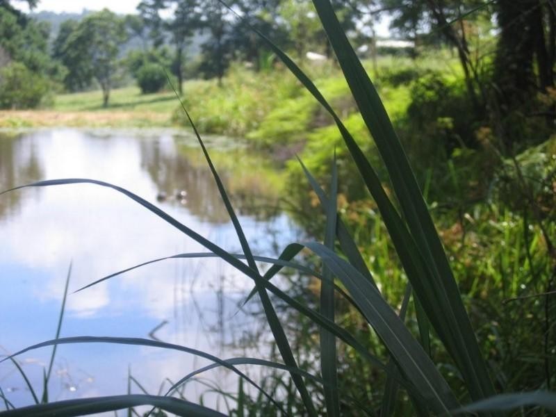 Woombye QLD 4559