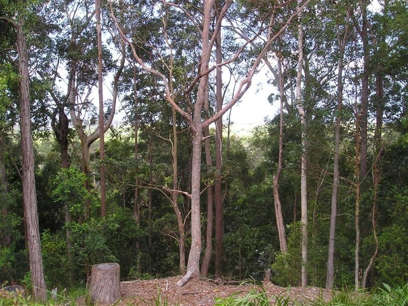 Nambour QLD 4560