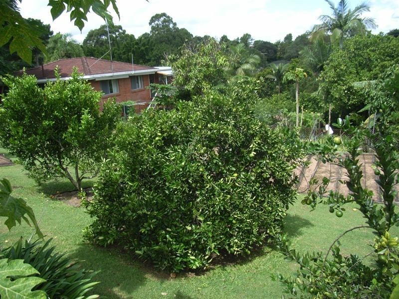 Nambour QLD 4560
