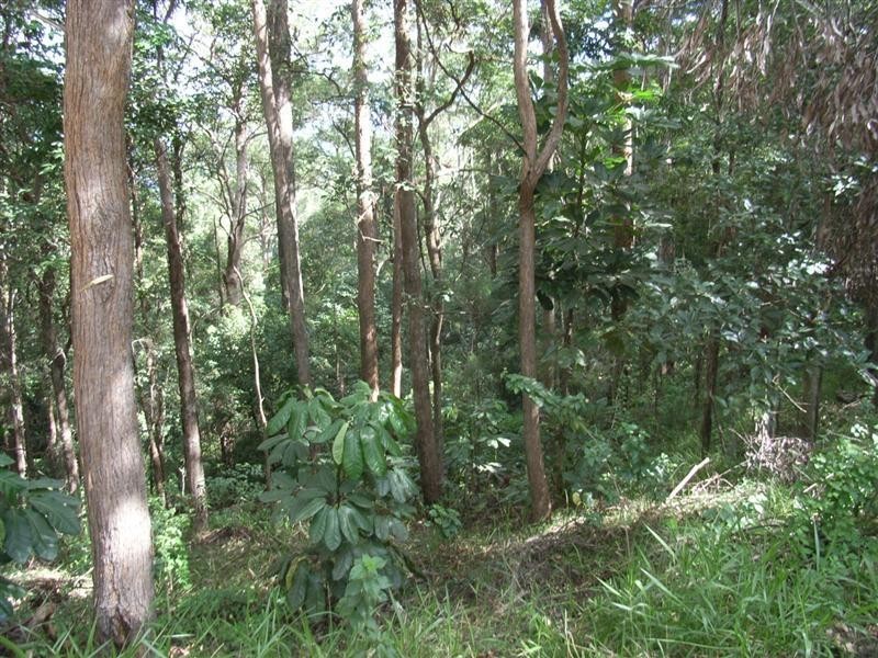 69-107 Carruthers Road, West Woombye QLD 4559