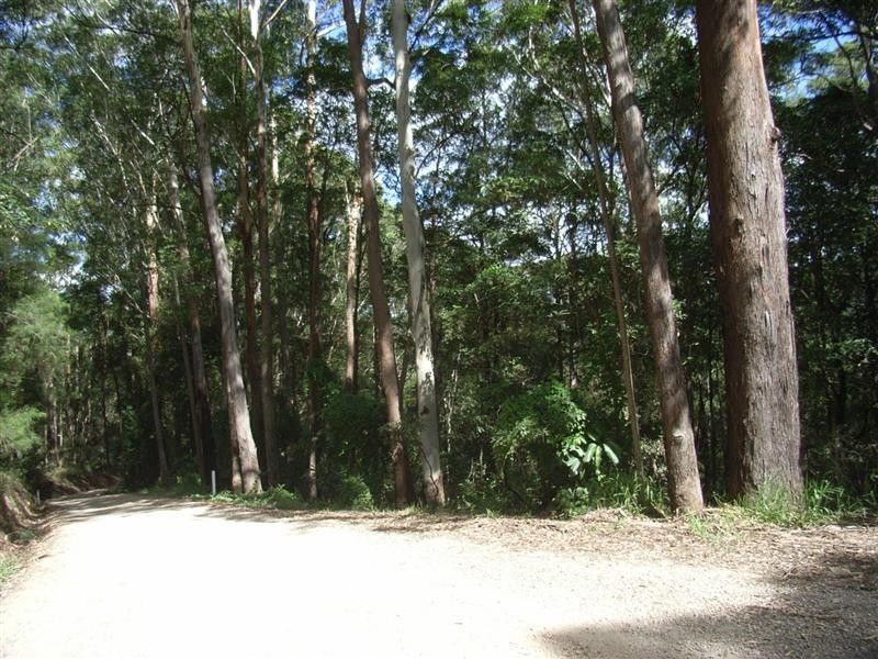 69-107 Carruthers Road, West Woombye QLD 4559