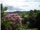 Nambour QLD 4560