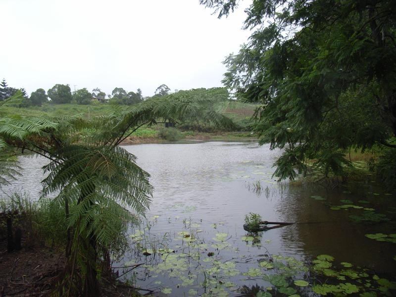 Nambour QLD 4560