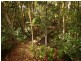 Nambour QLD 4560