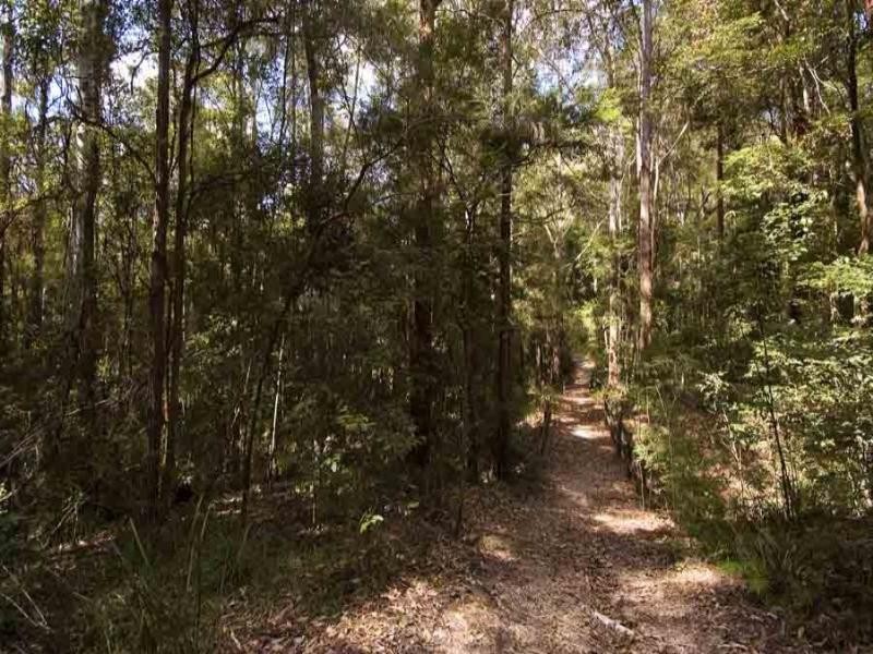 Kiels Mountain QLD 4559