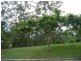 14 Francis Road, Bli Bli QLD 4560