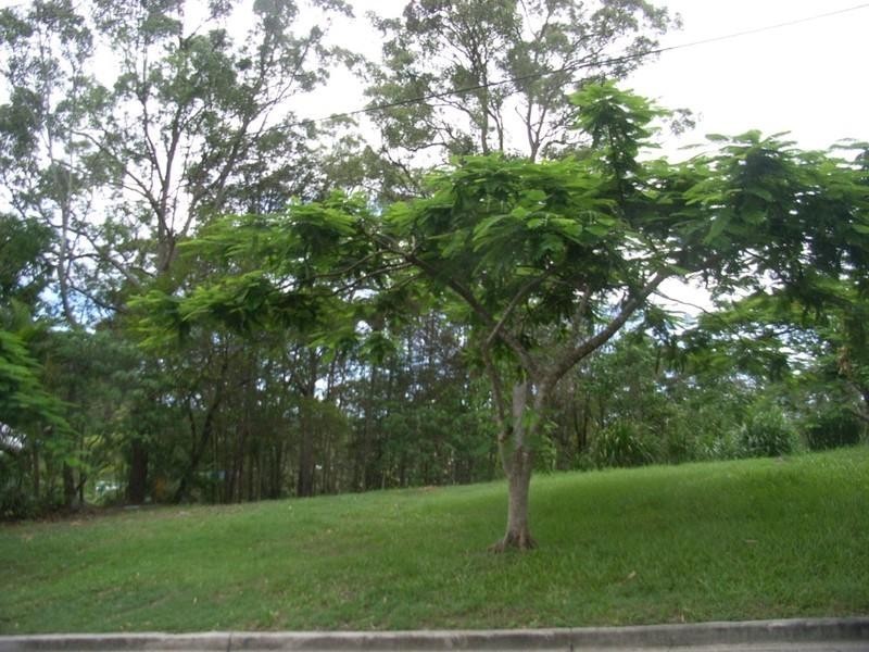 14 Francis Road, Bli Bli QLD 4560