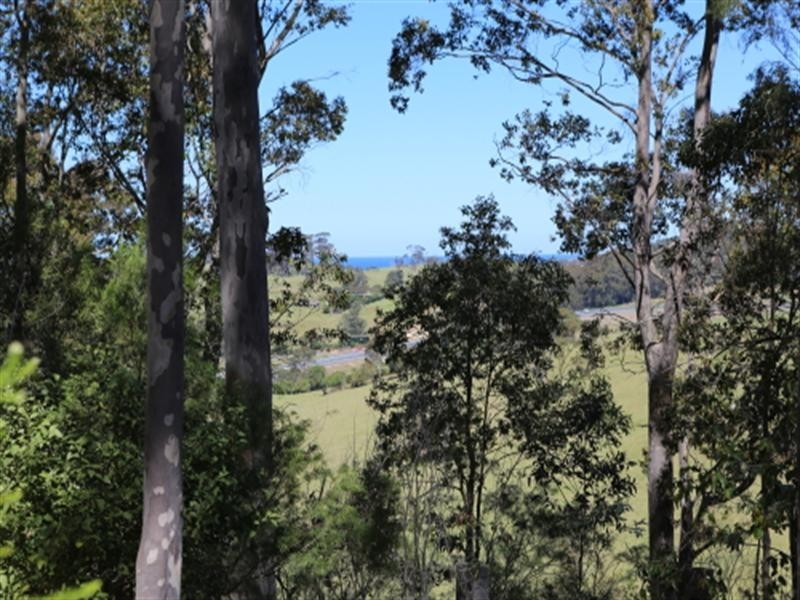 50 Brushgrove Lane, Central Tilba NSW 2546